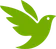 View on iNaturalist